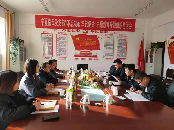 寧夏岳氏黨支部召開(kāi)“不忘初心，牢記使命”主題教育專題組織生活會(huì)