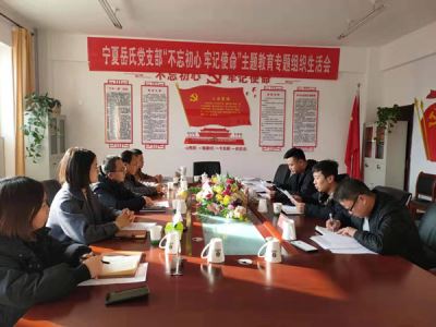 寧夏岳氏黨支部召開“不忘初心，牢記使命”主題教育專題組織生活會
